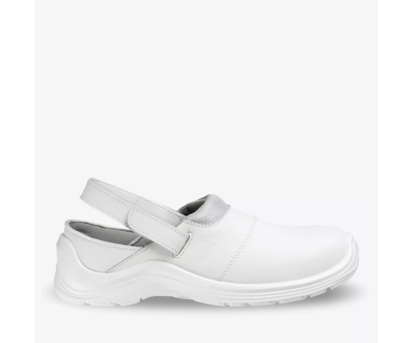 CORTADO SB SR A E FO