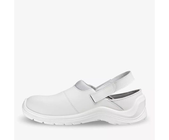 CORTADO SB SR A E FO