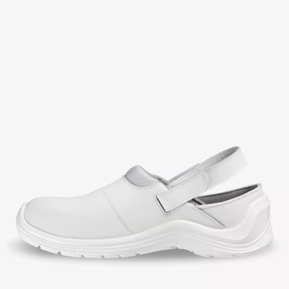 CORTADO SB SR A E FO