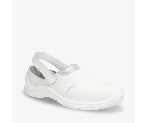 CORTADO SB SR A E FO