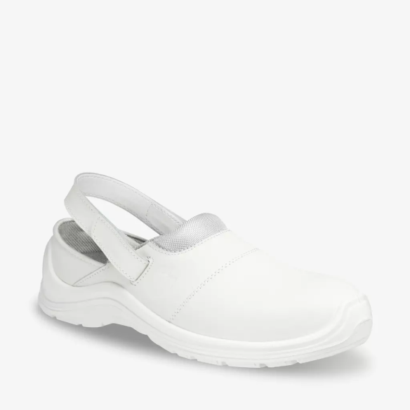 CORTADO SB SR A E FO